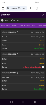 Screenshot_20241126-015428.png