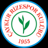 rizeli535353